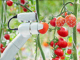 Moteur sans balai en robotique agriculture intelligente