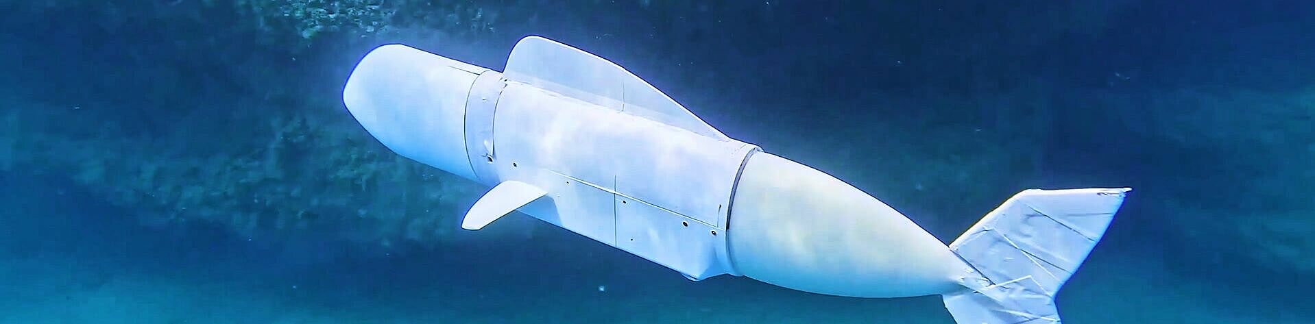 Moteur sans balais FAULHABER pour une application autonome de robot-poisson sous l'eau